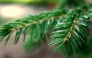 Полезные советы