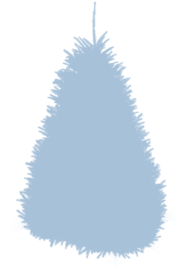 Особенности норвежской елки