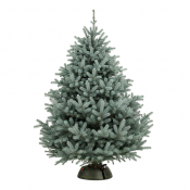 голубая елка на новый год в москве